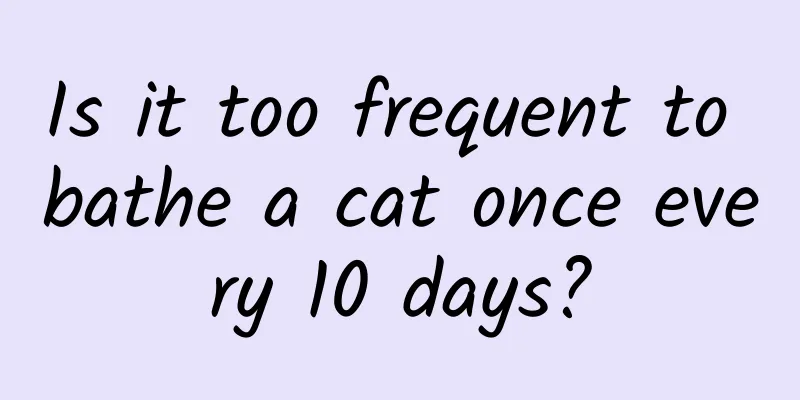 Is it too frequent to bathe a cat once every 10 days?
