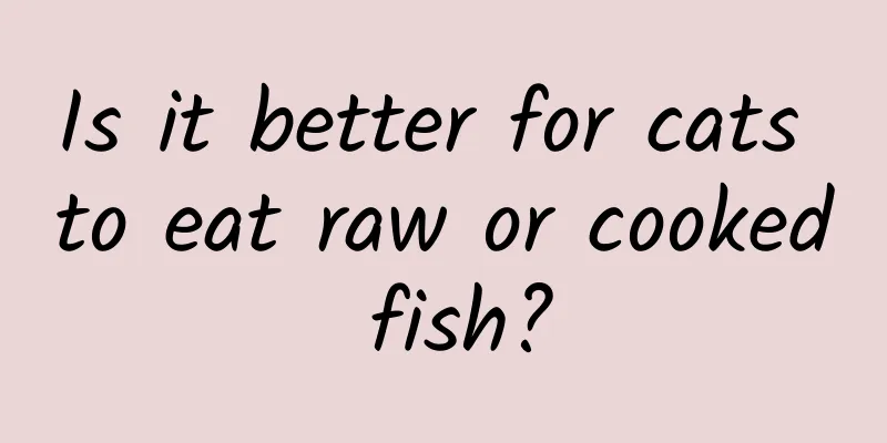 Is it better for cats to eat raw or cooked fish?