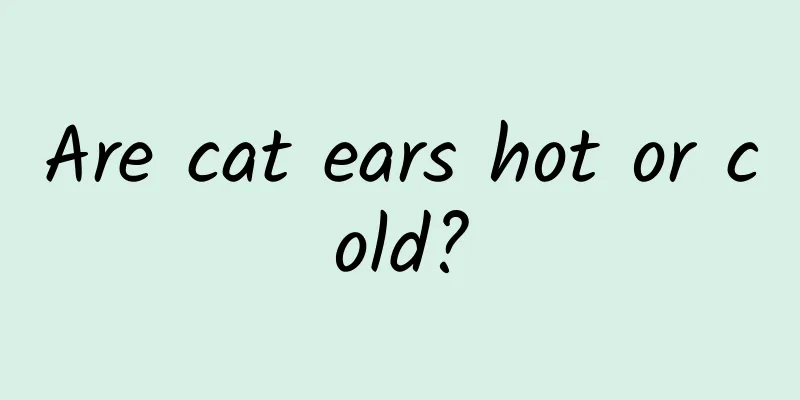 Are cat ears hot or cold?