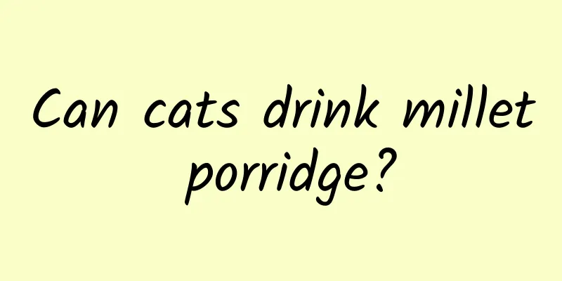 Can cats drink millet porridge?