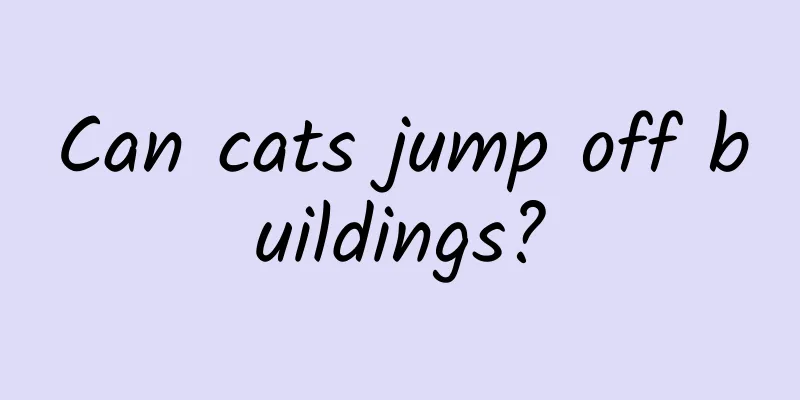 Can cats jump off buildings?