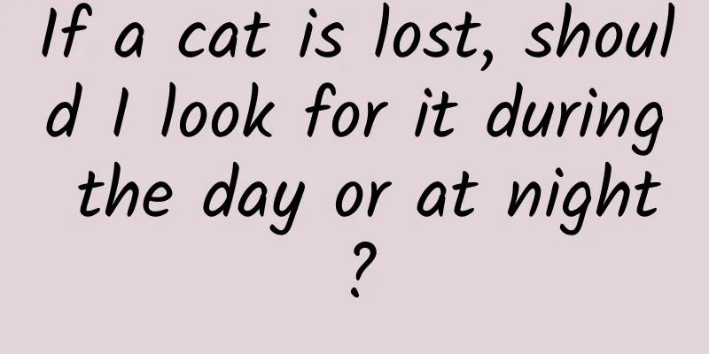 If a cat is lost, should I look for it during the day or at night?