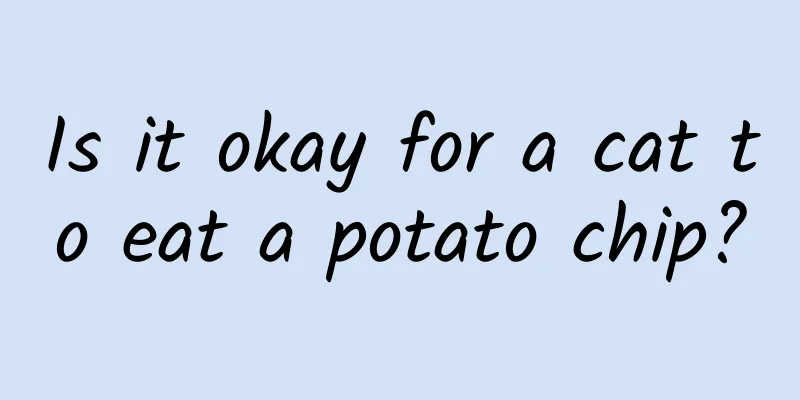 Is it okay for a cat to eat a potato chip?