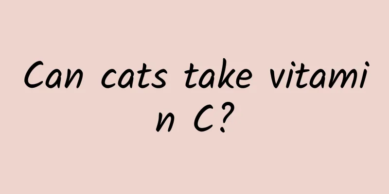 Can cats take vitamin C?