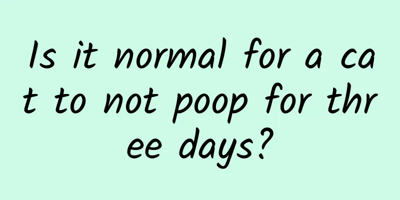 Is it normal for a cat to not poop for three days?