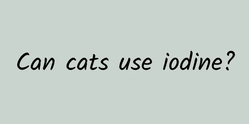 Can cats use iodine?