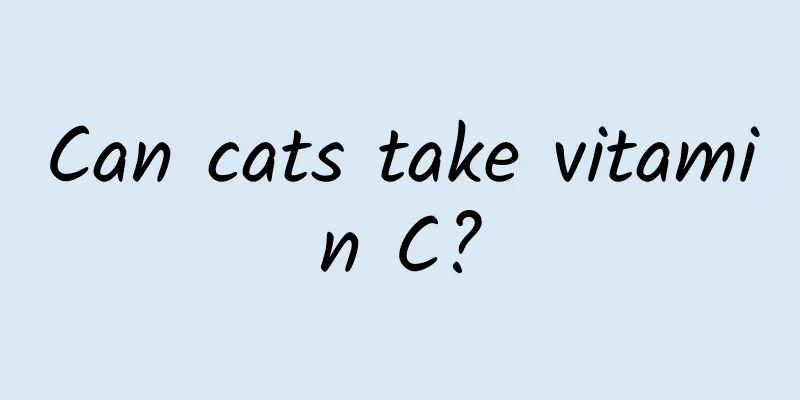 Can cats take vitamin C?