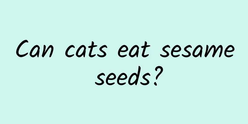 Can cats eat sesame seeds?