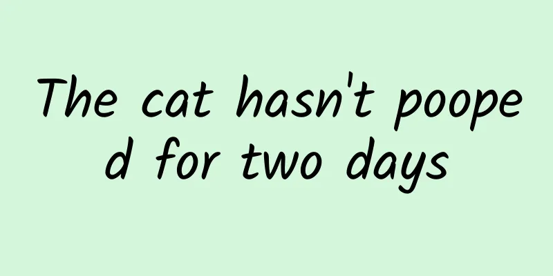 The cat hasn't pooped for two days