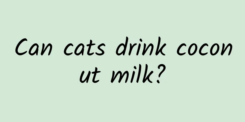 Can cats drink coconut milk?