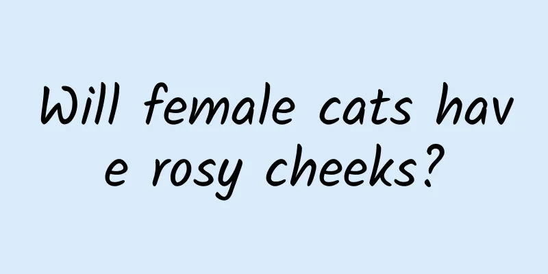 Will female cats have rosy cheeks?