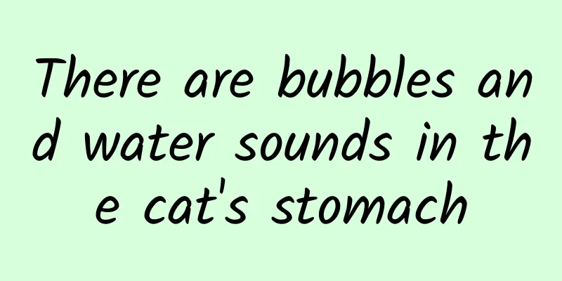 There are bubbles and water sounds in the cat's stomach