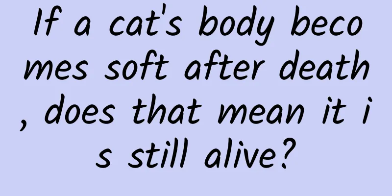 If a cat's body becomes soft after death, does that mean it is still alive?
