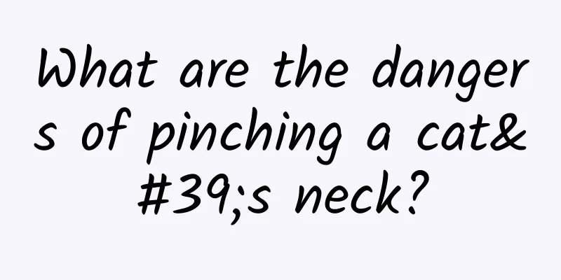 What are the dangers of pinching a cat's neck?