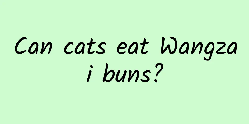 Can cats eat Wangzai buns?