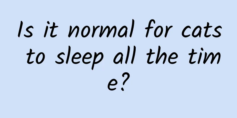 Is it normal for cats to sleep all the time?