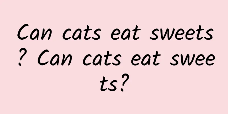 Can cats eat sweets? Can cats eat sweets?