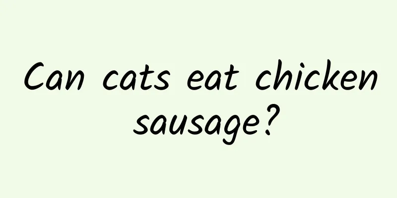 Can cats eat chicken sausage?