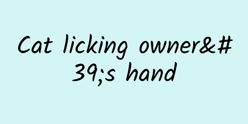 Cat licking owner's hand
