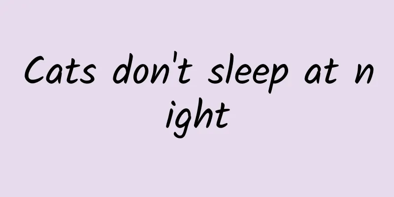 Cats don't sleep at night