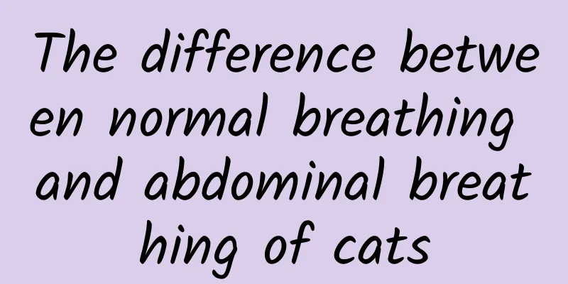 The difference between normal breathing and abdominal breathing of cats