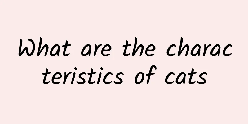 What are the characteristics of cats
