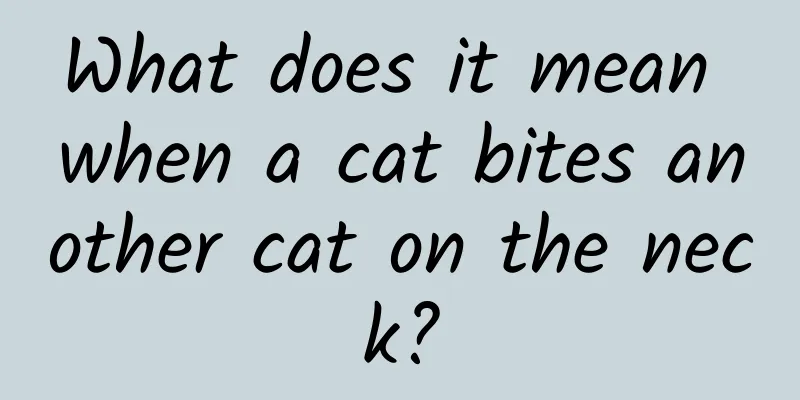 What does it mean when a cat bites another cat on the neck?