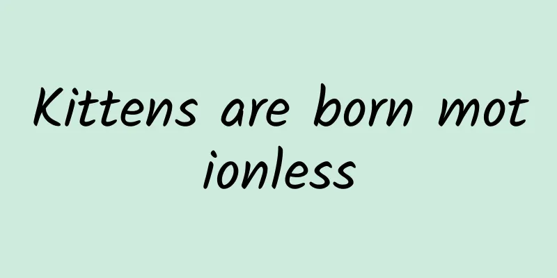Kittens are born motionless