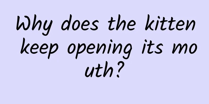 Why does the kitten keep opening its mouth?