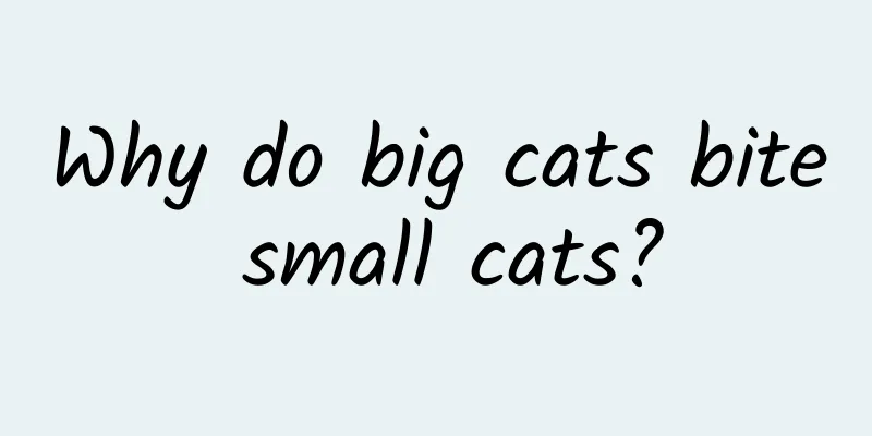 Why do big cats bite small cats?