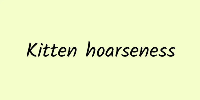 Kitten hoarseness