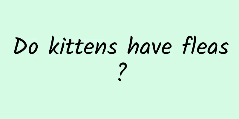 Do kittens have fleas?
