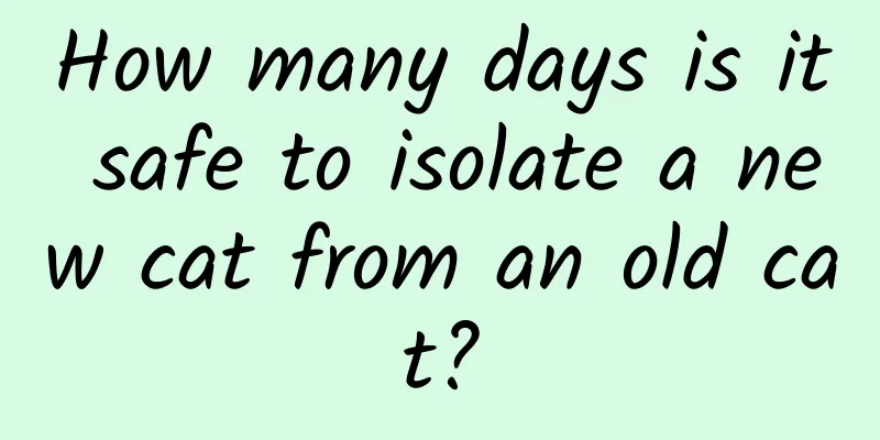 How many days is it safe to isolate a new cat from an old cat?