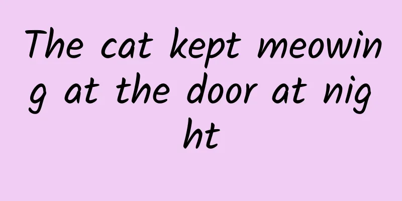 The cat kept meowing at the door at night