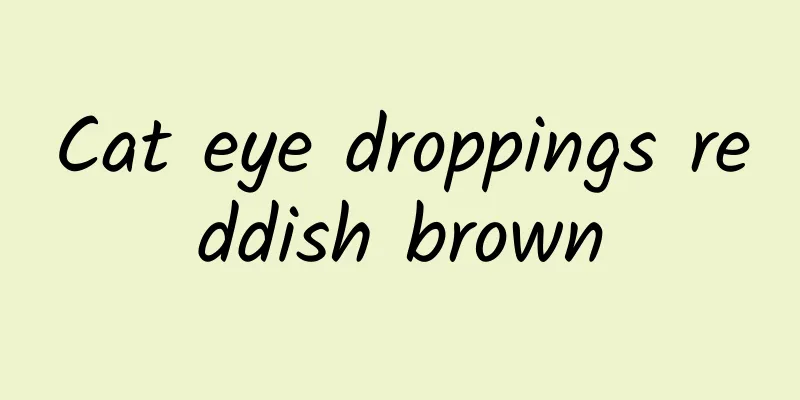 Cat eye droppings reddish brown