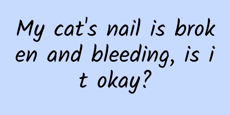 My cat's nail is broken and bleeding, is it okay?