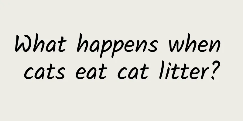 What happens when cats eat cat litter?