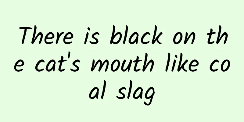 There is black on the cat's mouth like coal slag