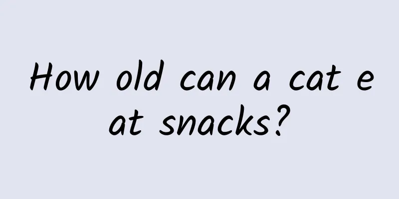 How old can a cat eat snacks?