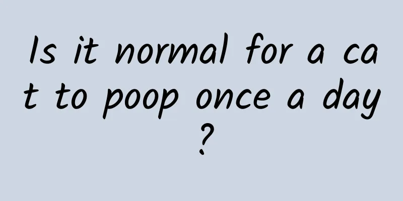 Is it normal for a cat to poop once a day?