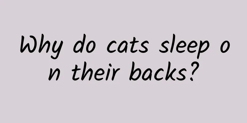 Why do cats sleep on their backs?