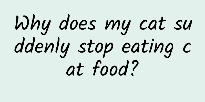Why does my cat suddenly stop eating cat food?