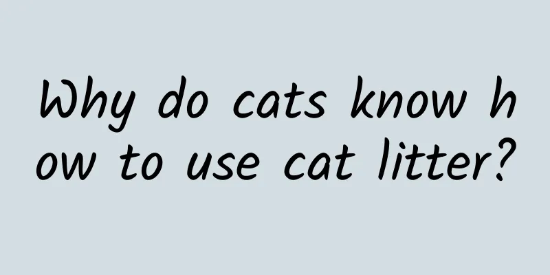 Why do cats know how to use cat litter?