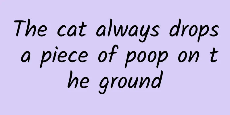 The cat always drops a piece of poop on the ground