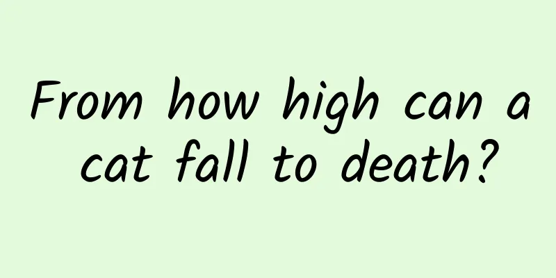 From how high can a cat fall to death?