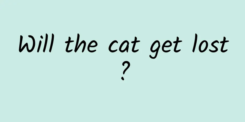 Will the cat get lost?