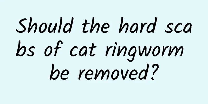 Should the hard scabs of cat ringworm be removed?