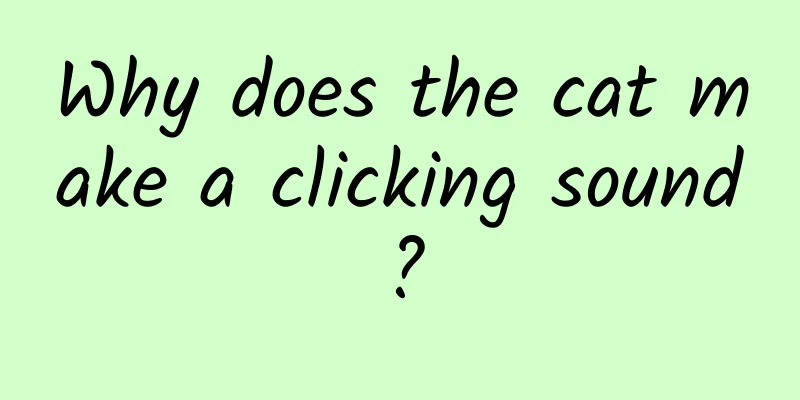 Why does the cat make a clicking sound?