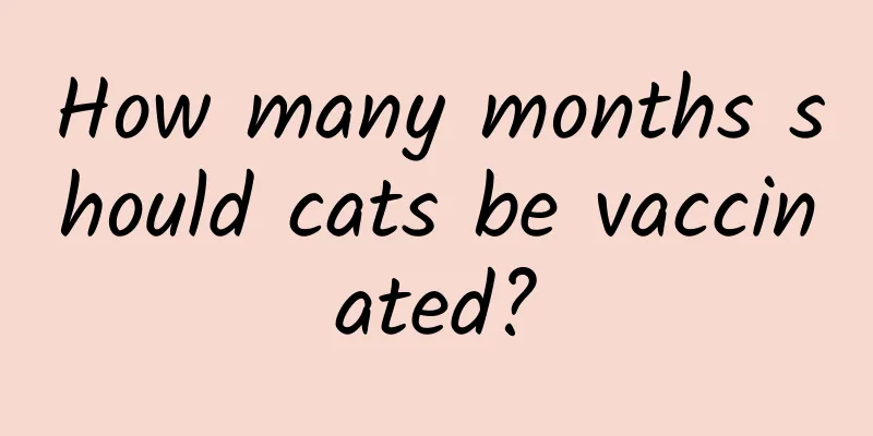 How many months should cats be vaccinated?