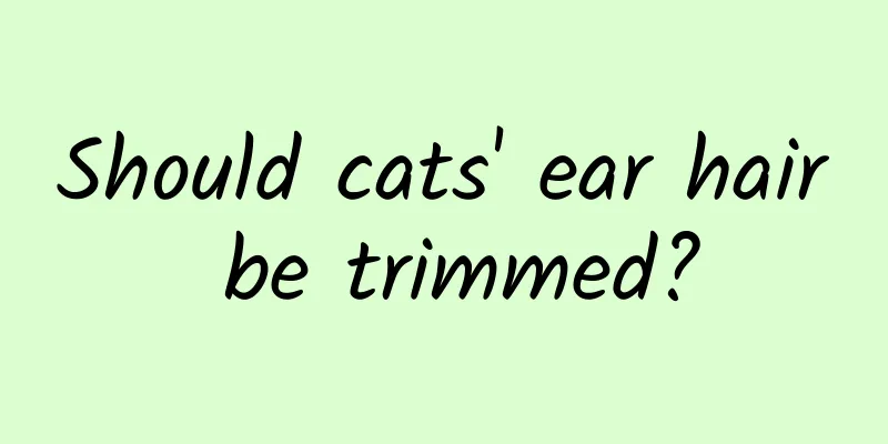 Should cats' ear hair be trimmed?
